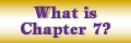 Chapter 7 Bankruptcy - Reisz Law Office in New Albany, IN