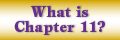 Chapter 11 Bankruptcy - Reisz Law Office in New Albany, IN